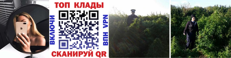 Купить наркотики цена Кировск МАРИХУАНА Мефедрон АМФЕТАМИН Бутират Alpha PVP Гашиш