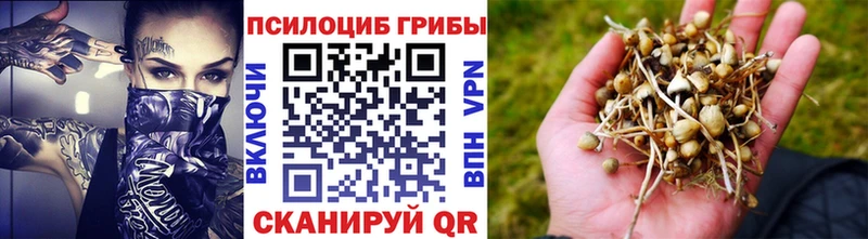 гидра ССЫЛКА  Кировск  Псилоцибиновые грибы Psilocybe  купить наркотик 